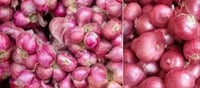 Will onion prices come down in November or make you cry?